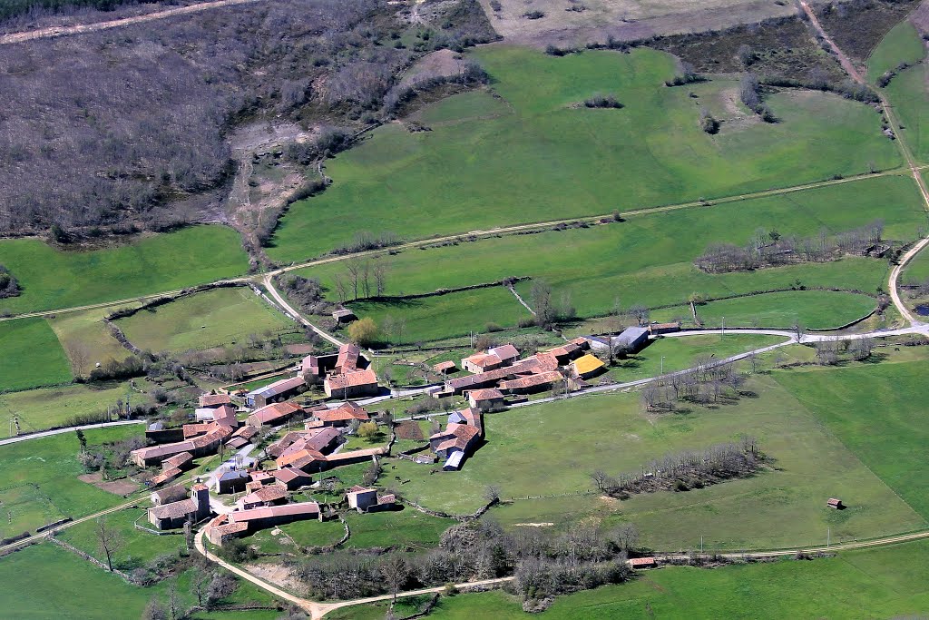 Navamuel